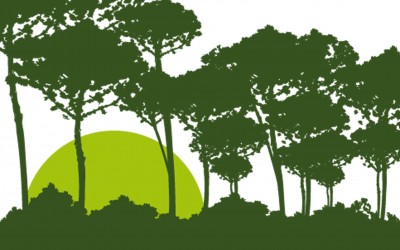 Próxima promoción en el Pau de Barajas “Barlovento Green”